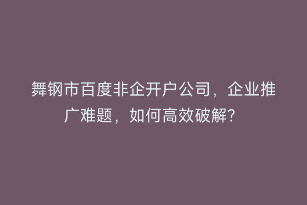 舞钢市百度非企开户公司，企业推广难题，如何高效破解？
