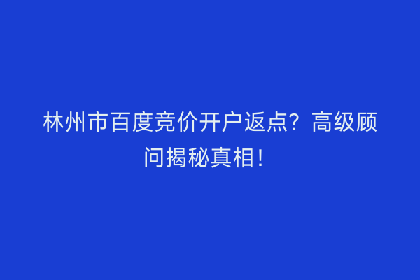 林州市百度竞价开户返点？高级顾问揭秘真相！