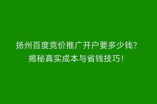 扬州百度竞价推广开户要多少钱？揭秘真实成本与省钱技巧！