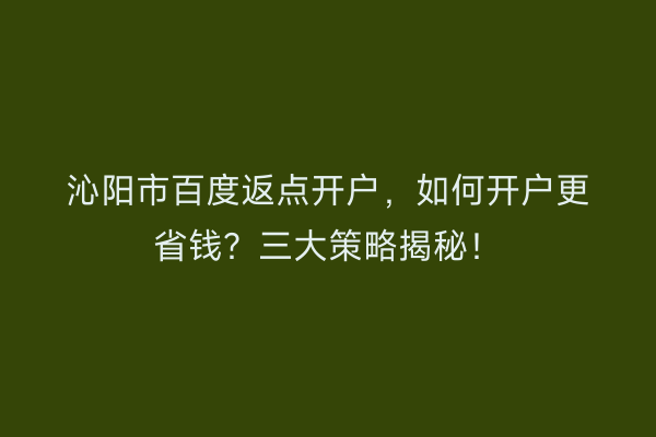 沁阳市百度返点开户，如何开户更省钱？三大策略揭秘！