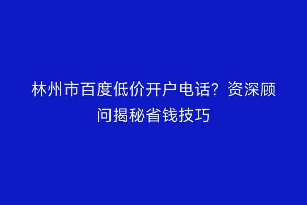 林州市百度低价开户电话？资深顾问揭秘省钱技巧
