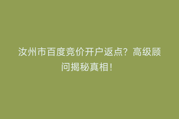 汝州市百度竞价开户返点？高级顾问揭秘真相！