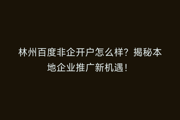 林州百度非企开户怎么样？揭秘本地企业推广新机遇！