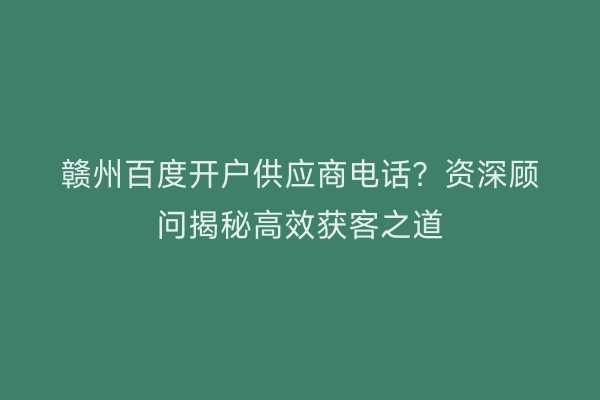 赣州百度开户供应商电话？资深顾问揭秘高效获客之道