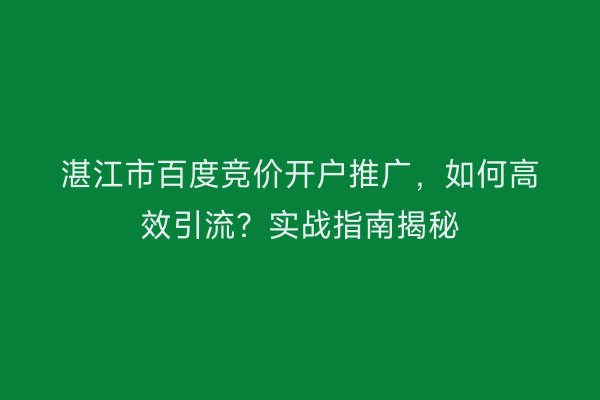湛江市百度竞价开户推广，如何高效引流？实战指南揭秘