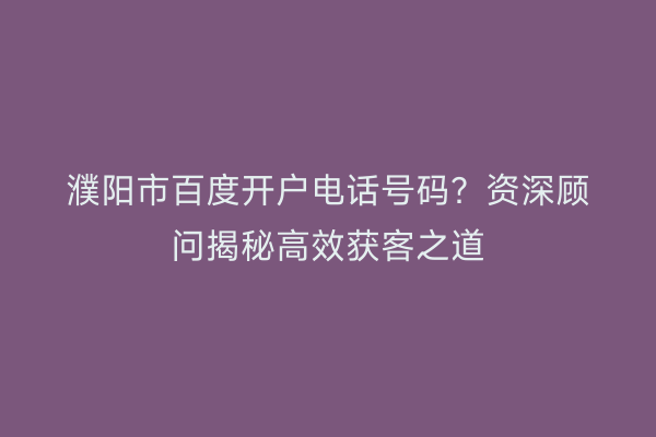 濮阳市百度开户电话号码？资深顾问揭秘高效获客之道