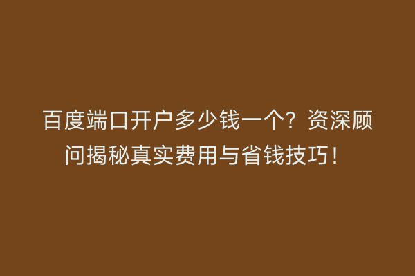 百度端口开户多少钱一个？资深顾问揭秘真实费用与省钱技巧！