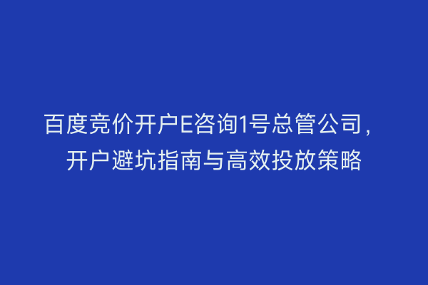百度竞价开户E咨询1号总管公司，开户避坑指南与高效投放策略