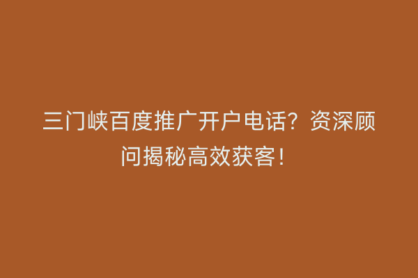 三门峡百度推广开户电话？资深顾问揭秘高效获客！
