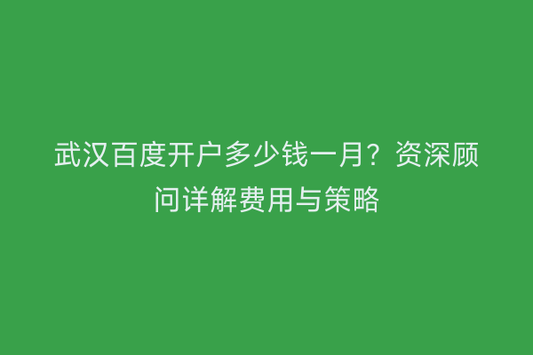 武汉百度开户多少钱一月？资深顾问详解费用与策略