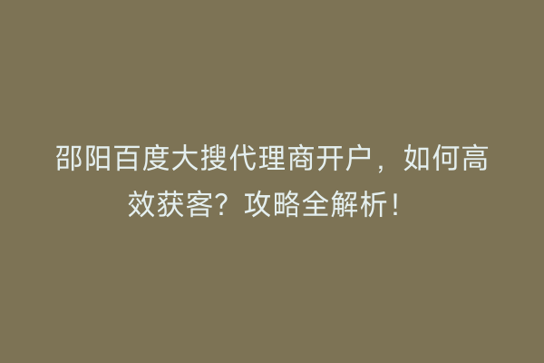 邵阳百度大搜代理商开户，如何高效获客？攻略全解析！