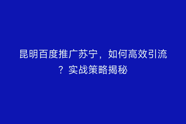 昆明百度推广苏宁，如何高效引流？实战策略揭秘