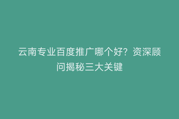 云南专业百度推广哪个好？资深顾问揭秘三大关键