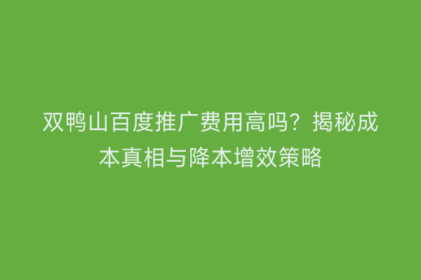 双鸭山百度推广费用高吗？揭秘成本真相与降本增效策略