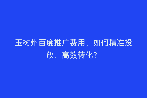 玉树州百度推广费用，如何精准投放，高效转化？