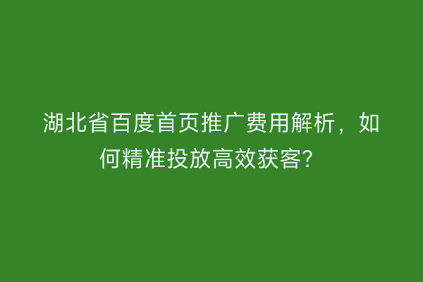 湖北省百度首页推广费用解析，如何精准投放高效获客？