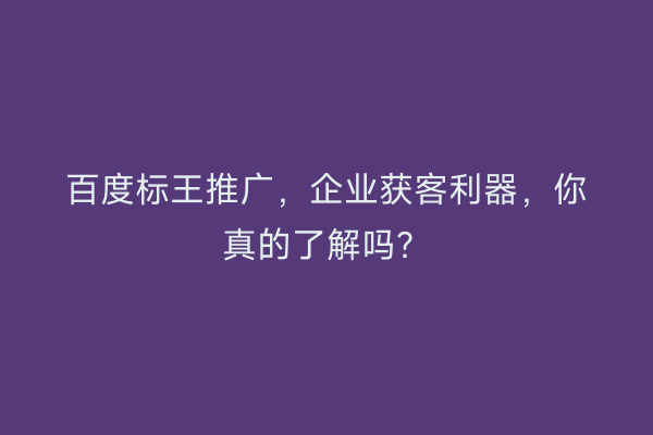 百度标王推广，企业获客利器，你真的了解吗？