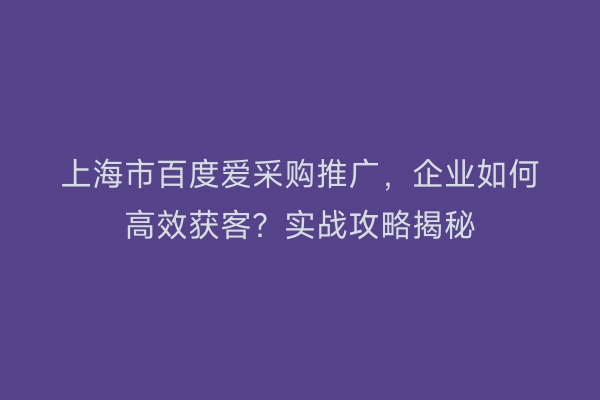 上海市百度爱采购推广，企业如何高效获客？实战攻略揭秘