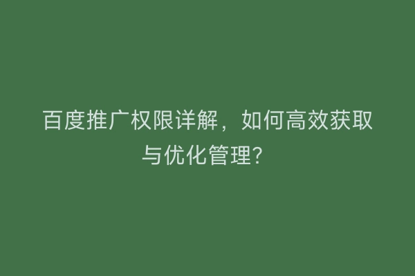百度推广权限详解，如何高效获取与优化管理？