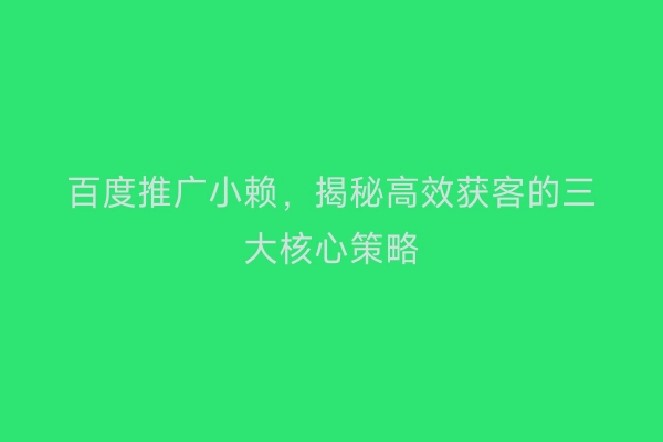 百度推广小赖，揭秘高效获客的三大核心策略