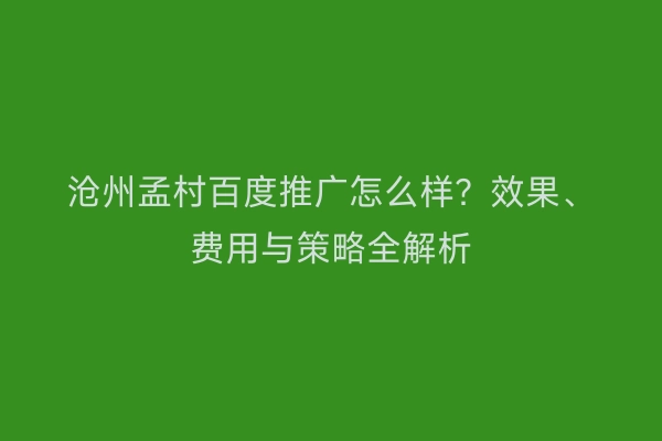 沧州孟村百度推广怎么样？效果、费用与策略全解析