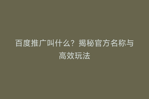 百度推广叫什么？揭秘官方名称与高效玩法
