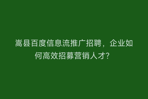 嵩县百度信息流推广招聘，企业如何高效招募营销人才？