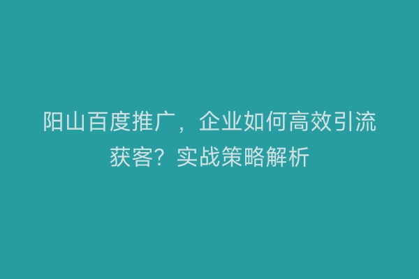 阳山百度推广，企业如何高效引流获客？实战策略解析