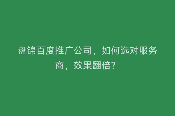 盘锦百度推广公司，如何选对服务商，效果翻倍？