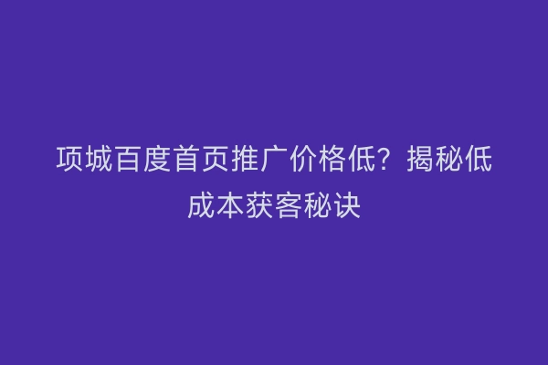 项城百度首页推广价格低？揭秘低成本获客秘诀