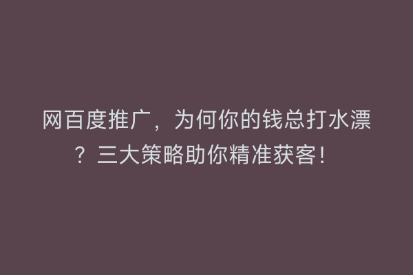 网百度推广，为何你的钱总打水漂？三大策略助你精准获客！