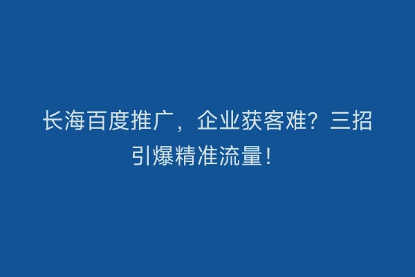 长海百度推广，企业获客难？三招引爆精准流量！
