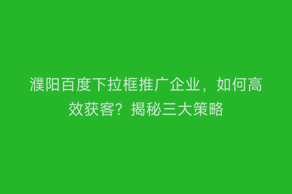 濮阳百度下拉框推广企业，如何高效获客？揭秘三大策略