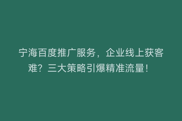 宁海百度推广服务，企业线上获客难？三大策略引爆精准流量！