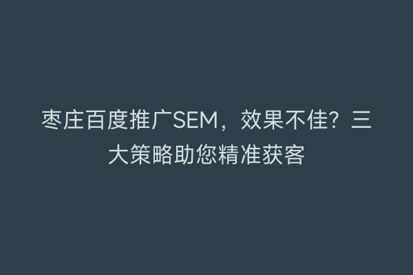 枣庄百度推广SEM，效果不佳？三大策略助您精准获客