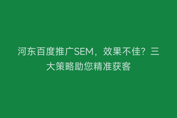 河东百度推广SEM，效果不佳？三大策略助您精准获客
