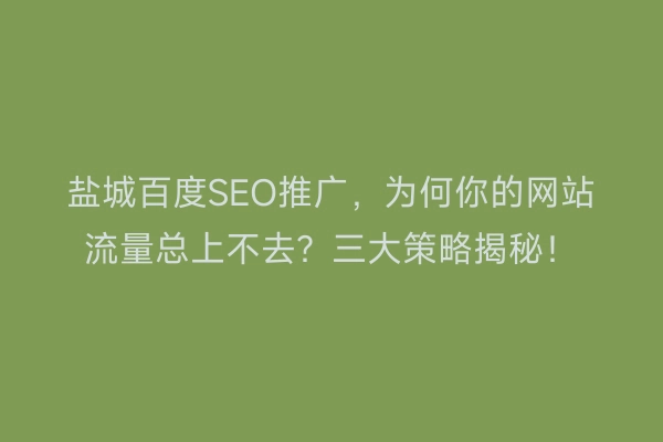 盐城百度SEO推广，为何你的网站流量总上不去？三大策略揭秘！