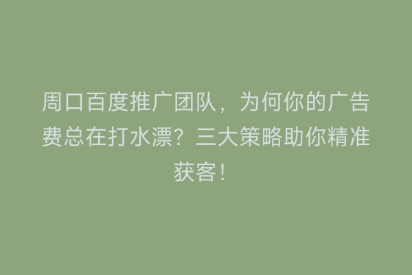 周口百度推广团队，为何你的广告费总在打水漂？三大策略助你精准获客！