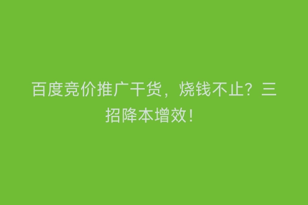 百度竞价推广干货,烧钱不止?三招降本增效!