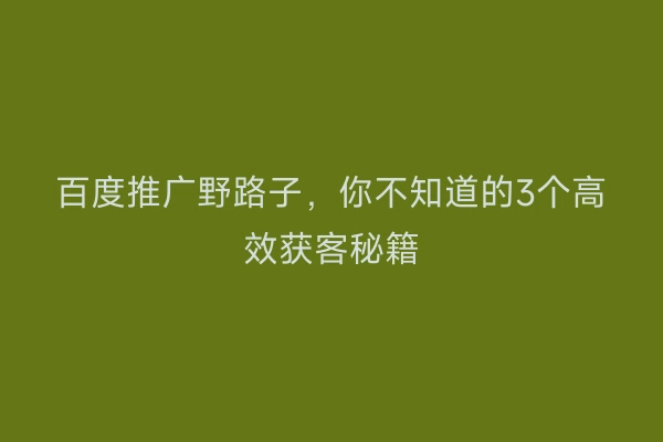 百度推广野路子，你不知道的3个高效获客秘籍