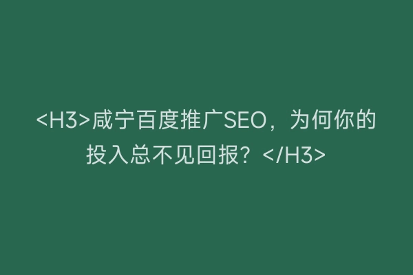 <H3>咸宁百度推广SEO，为何你的投入总不见回报？</H3>
