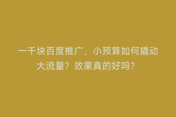 一千块百度推广,小预算如何撬动大流量?效果真的好吗?