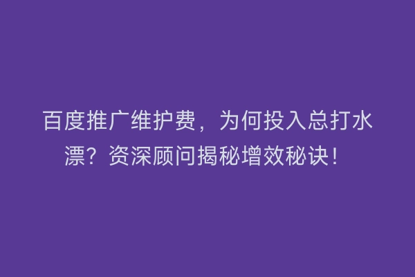 百度推广维护费，为何投入总打水漂？资深顾问揭秘增效秘诀！