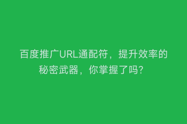 百度推广URL通配符，提升效率的秘密武器，你掌握了吗？