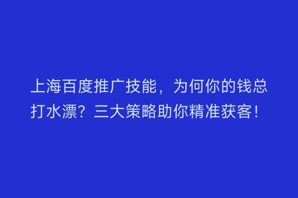 上海百度推广技能，为何你的钱总打水漂？三大策略助你精准获客！