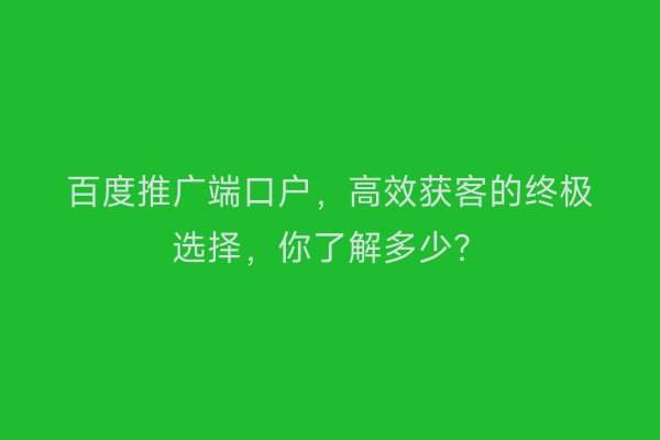 百度推广端口户，高效获客的终极选择，你了解多少？