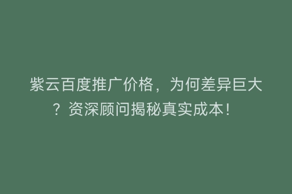 紫云百度推广价格，为何差异巨大？资深顾问揭秘真实成本！