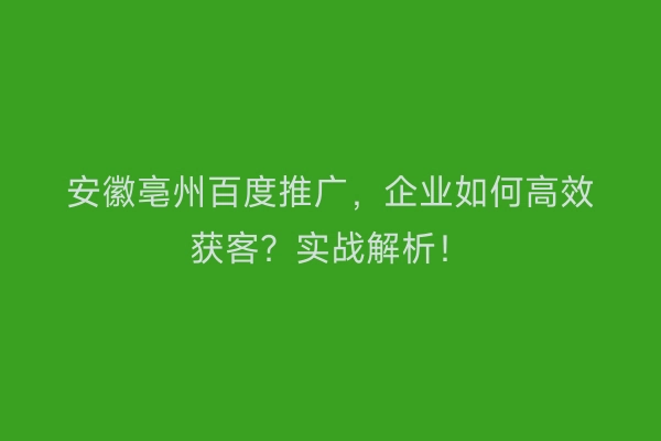 安徽亳州百度推广,企业如何高效获客?实战解析!