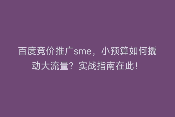 百度竞价推广sme，小预算如何撬动大流量？实战指南在此！