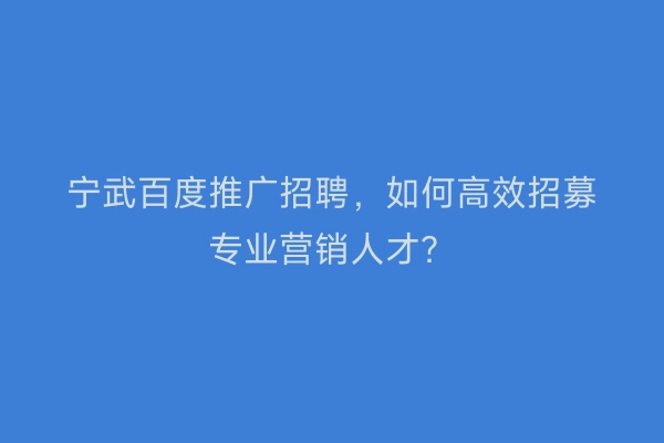 宁武百度推广招聘，如何高效招募专业营销人才？